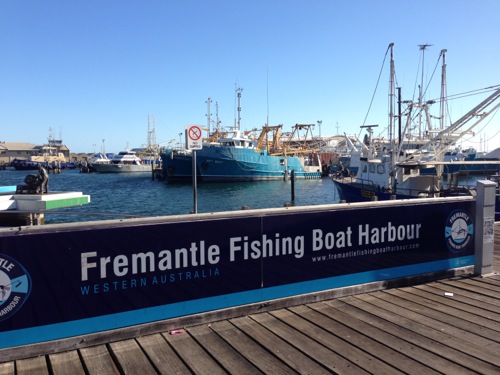 Fishing Boat Harbour Freo