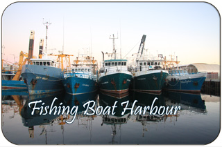 Fremantle Fishing Boat Harbour - Boats